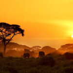 Kenya: Where Safari Dreams Come True and Culture Thrives